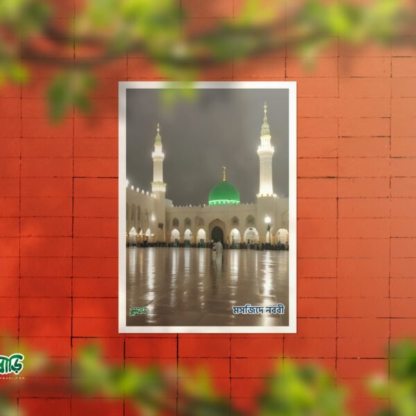 Shaikh Ahmad Premium Wallboard Combo